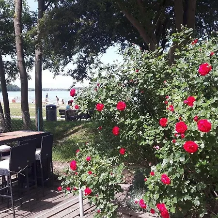 Schoenes In Mit Terrasse Und Grill Vakantiehuis *